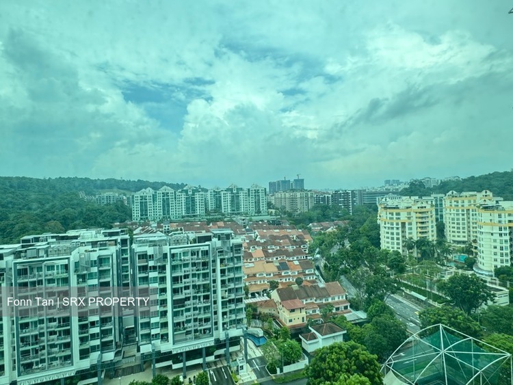 Hillview Regency (D23), Condominium #504100811